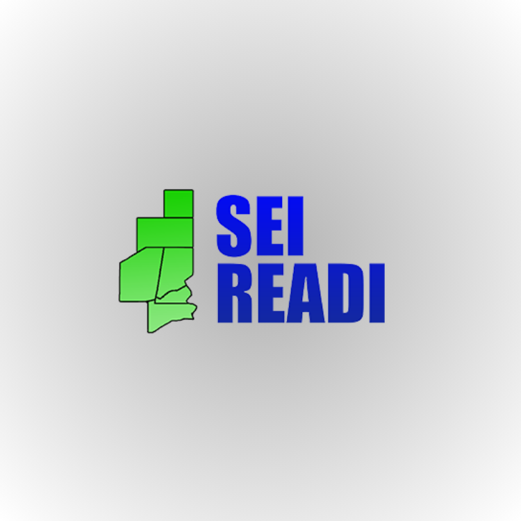 S E I READI logo